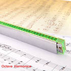 Octave Harmonica Mouth Organ 24 Holes Free Reed Wind Instrument with Case Music Instrument Wholesale Retail