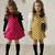 Бесплатная доставка 2014 новых осень / весна дети одежда девочек горошек платье с длинными рукавами платье детей одежды девушки принцесса