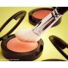 lowest price+Fastest Shipping+Free Shipping new Brand blush rouge fashion color.1