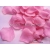 Wholesale/Retail 8500 pcs Hot sale Silk Rose Petals for wedding party Flower Favors 