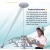 Crystal Chandelier Hoist Chandelier Winch Light Lift DDJ100 (max rated weight 100kgs) Free Shipping