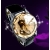 Black  lady's fashion watch,wrist quartz watch,Crystal glass surface,2 watchband can chosen,hot selling!