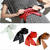 Long section of the circle soft leather bow body shaping bands wide belt cummerbund