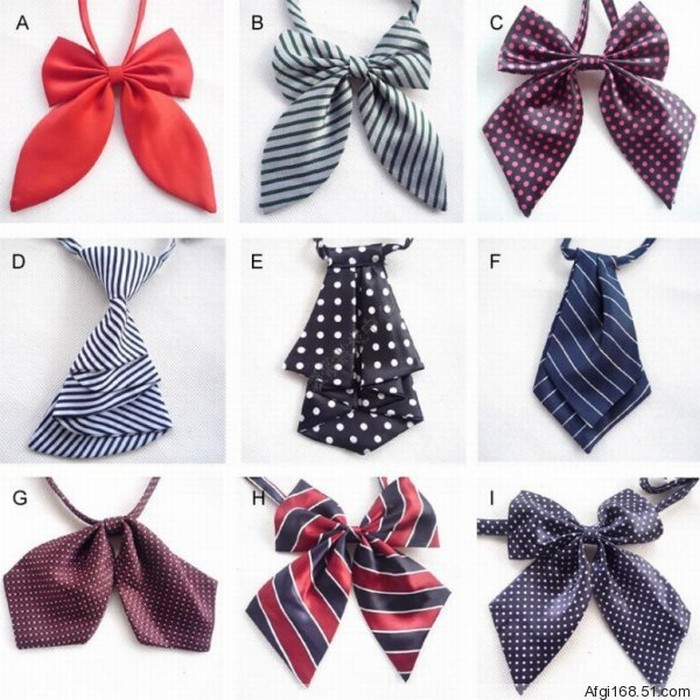 CPA Womens Fashion Polyester Silk Bow Tie Ladies – Wholesale [CPA Free ...